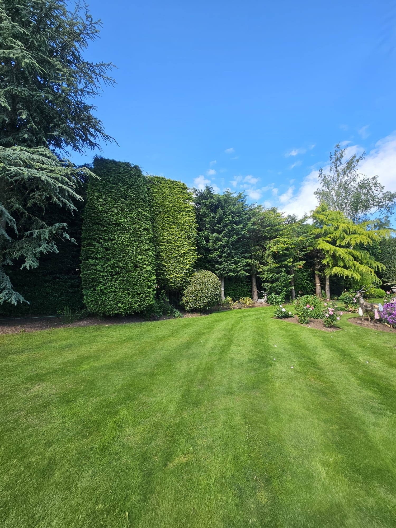 profile picture of All Aspect Trees Ltd