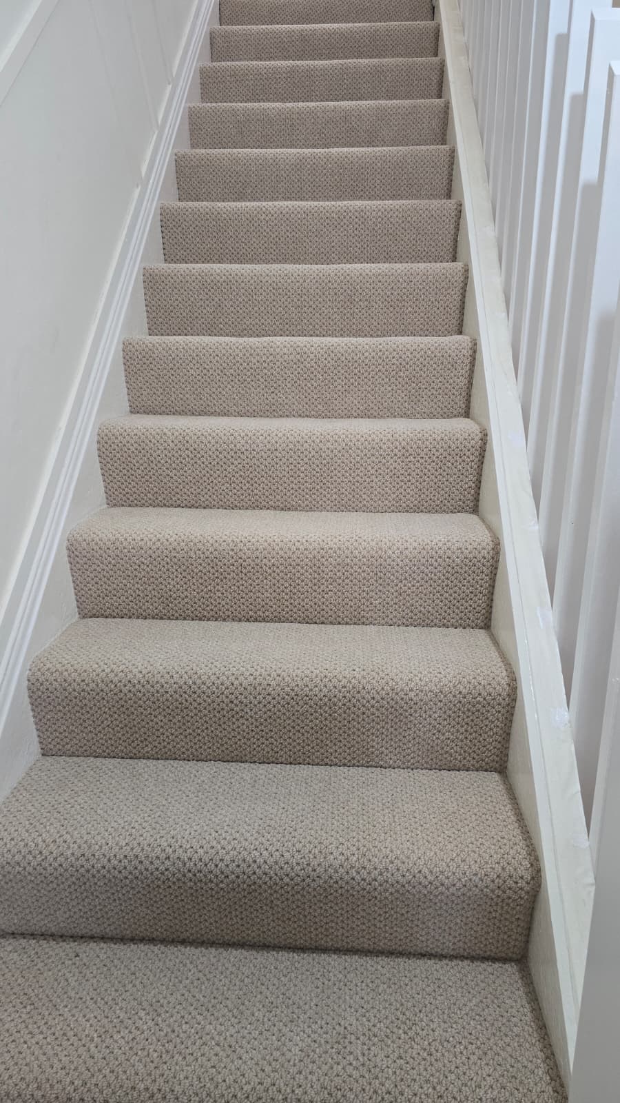 SYN Carpets